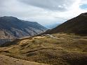 New_Zealand (479)